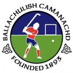 Shinty Logo